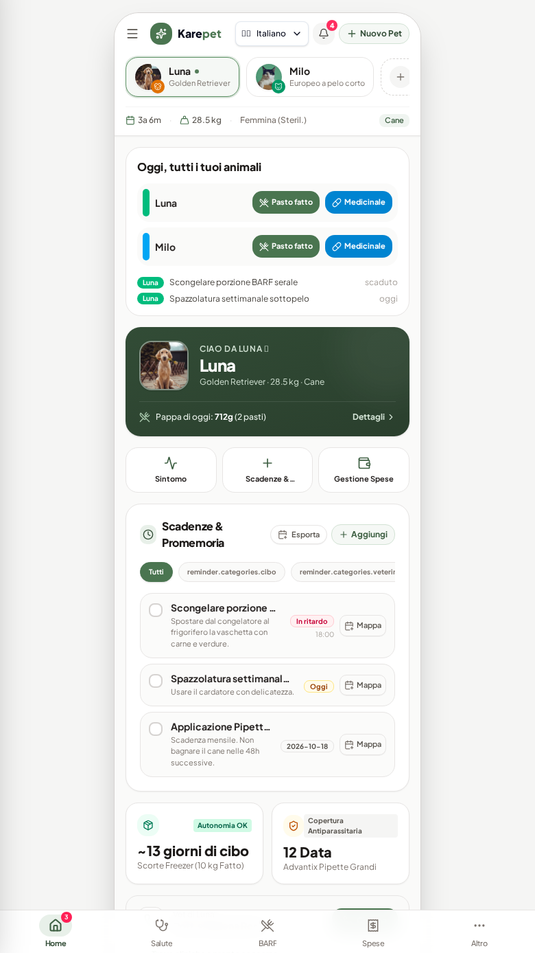 Karepet — karepet.app